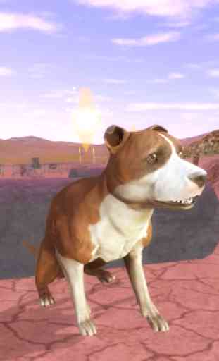 AmStaffs Dog Simulator 3