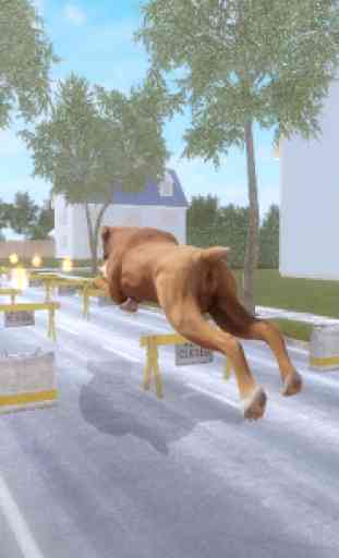 Boxer Dog Simulator 4
