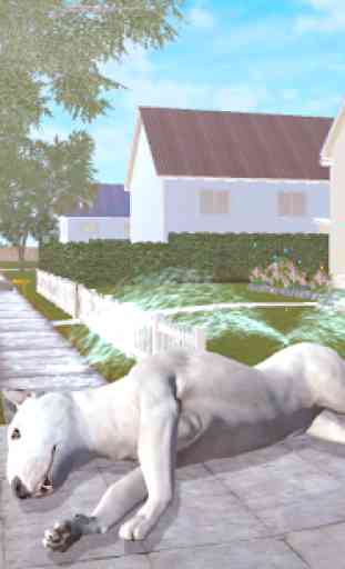 Bull Terier Dog Simulator 4