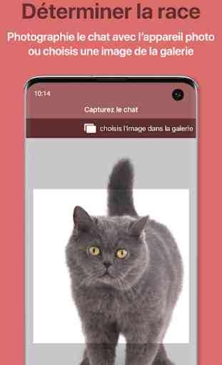 Cat Scanner - Identifier la race du chat 1