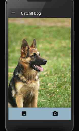 CatchIt Dog - Scanner photo chiens races 1