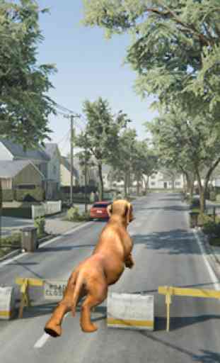 Dachshund Dog Simulator 3