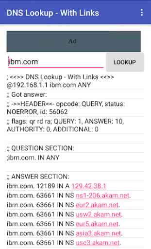 DNS Lookup - With Links 1