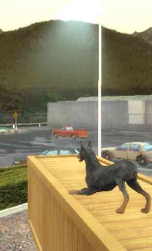 Doberman Dog Simulator 3