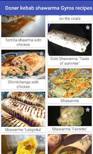 Doner Kebab Shawarma Gyros Recipes 2