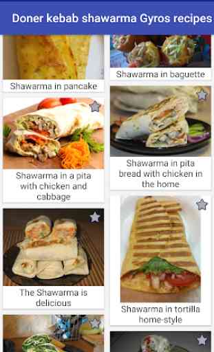 Doner Kebab Shawarma Gyros Recipes 3