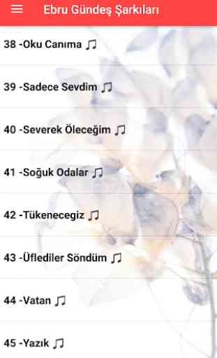 Ebru Gündeş Şarkıları (İnternetsiz) 2