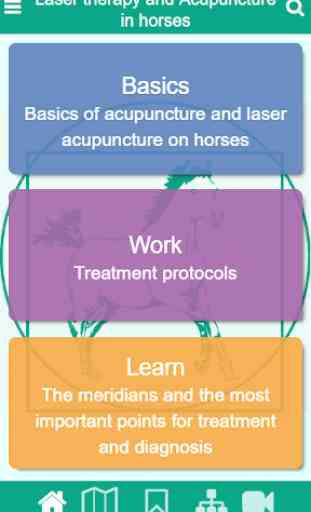 Laser Therapie in Horses 1