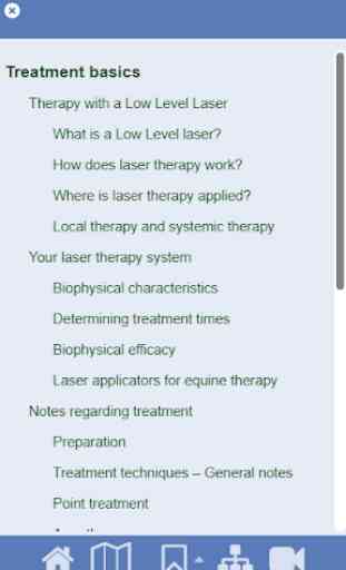 Laser Therapie in Horses 3