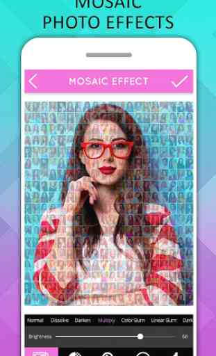 Mosaic Photo Effects 1