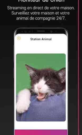 PetCam App - Caméra pour chien 3