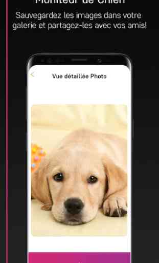 PetCam App - Caméra pour chien 4