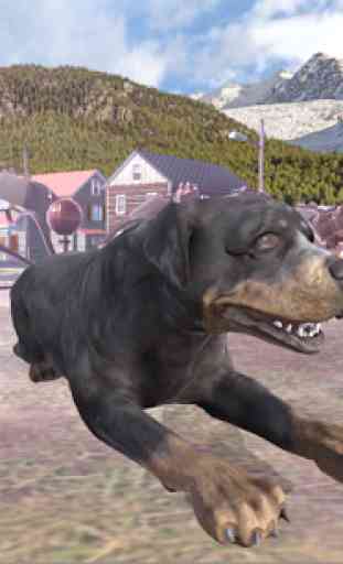 Rottweiler Dog Simulator 1