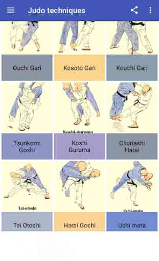 Techniques de judo 2