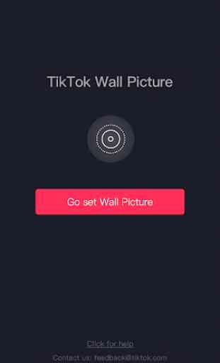 TikTok Wall Picture 2