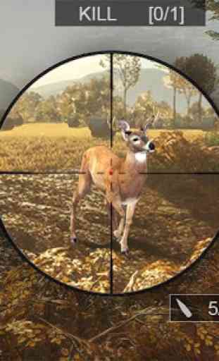 Wild Hunt Animal Shooting Sport Hunting 2018 3