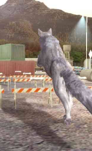 Wolf Dog Simulator 2
