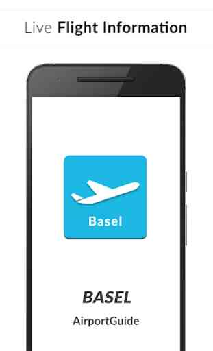 Basel Airport Guide - Flight information BSL 1