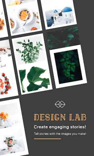 DesignLab – Create Story, Graphic & Photo Design 2
