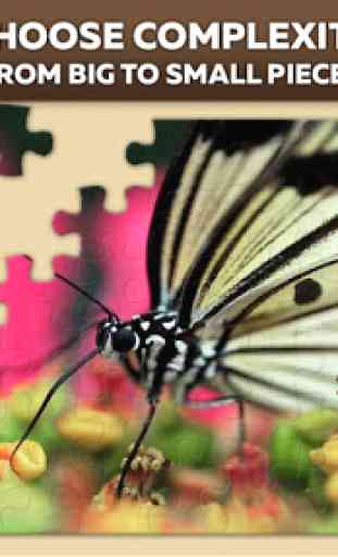 Insectes Puzzles pour adultes et enfants gratuits 1