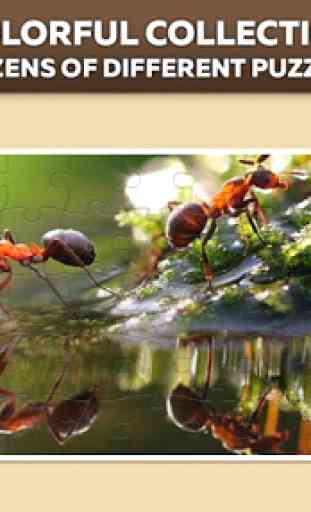 Insectes Puzzles pour adultes et enfants gratuits 2