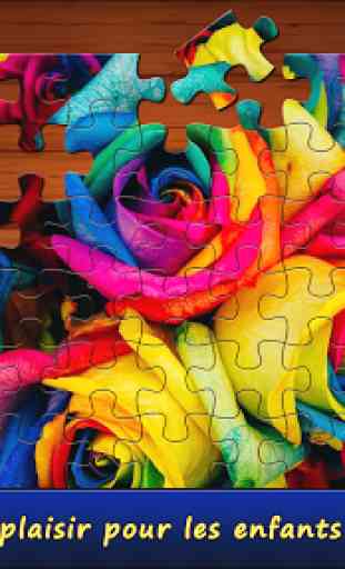 Jigsaw Puzzle du jour 4