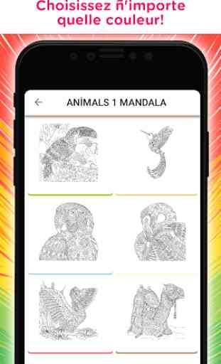 Livre Coloriage Mandala - Libre Jeu pour Adultes 3
