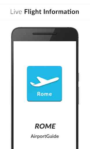 Rome Fiumicino Airport: Flight information FCO 1