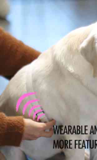 Stemoscope: Digital Stethoscope + STEM - heartbeat 3