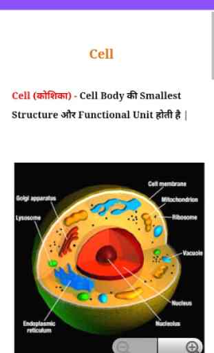 Anatomy In Hindi 4