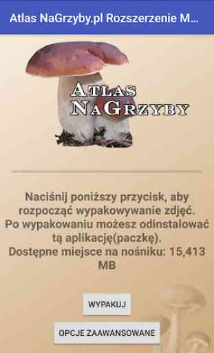 Atlas NaGrzyby.pl Paczka zdjęć Mniejsza 1
