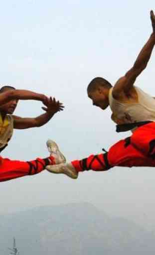 Best Chinese Martial Arts 2