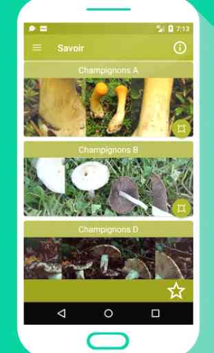 champignons identification français App gratuit 2