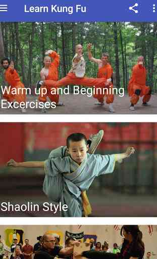 Learn Kung Fu 1