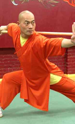 Learn Kung Fu 2