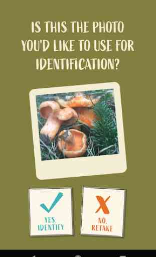 Snout: Mushroom Identification 4