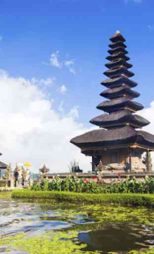 Wonderful Bali 1
