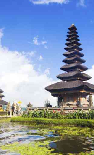 Wonderful Bali 3