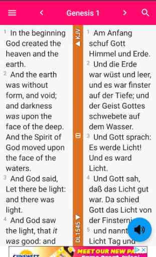 Holy Bible in many languages and many versions 4
