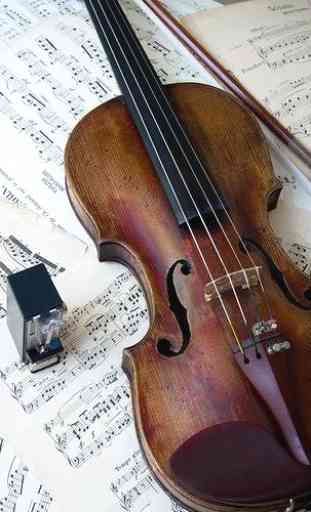 Jouer du violon 3
