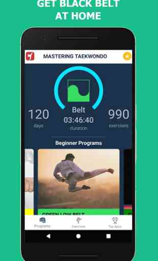 Mastering Taekwondo - Get Black Belt at Home 3
