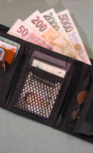 Mini Wallet 2