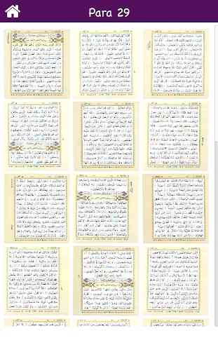Para # 29 of Holy Quran in Arabic Colorful Tajweed 2