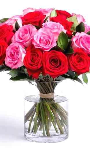 Romantic Flowers Images GiFt  3