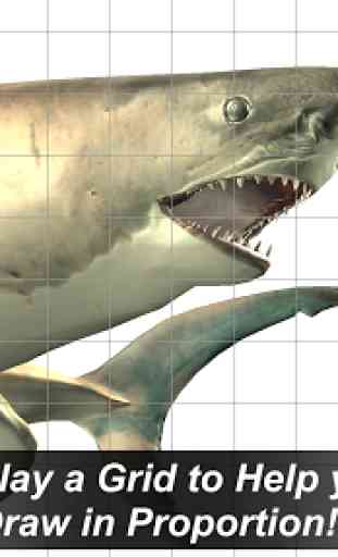 Shark Mannequin 3