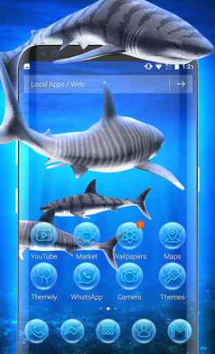 Thème des requins tigre en 3D 2