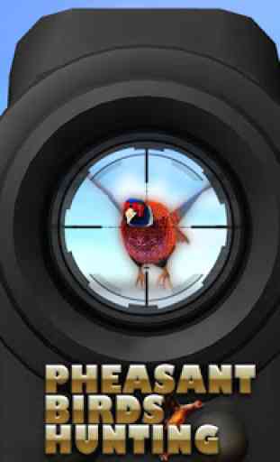 Chasse aux oiseaux de faisan:Ailes Sniper Shooting 4