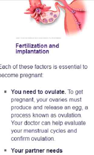 Female Fertility Protocols Natural Pregnancy Boost 2