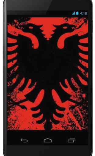 Flag of Albania 1