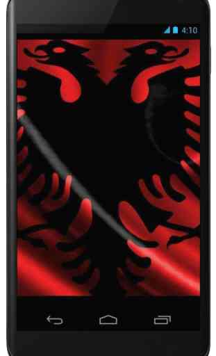 Flag of Albania 2